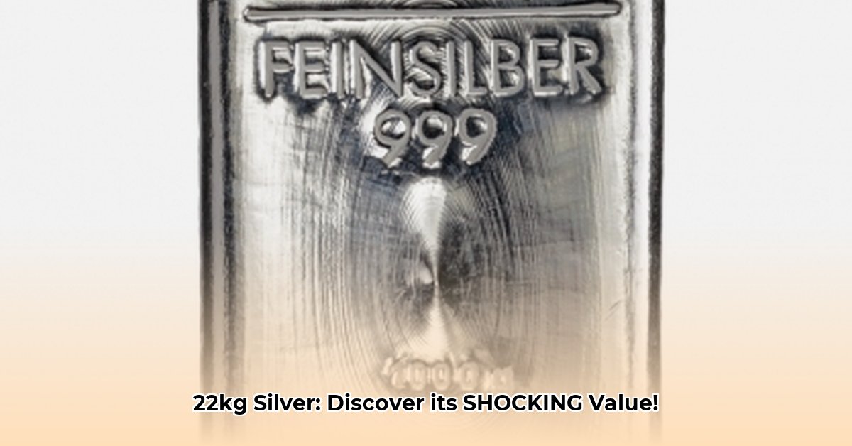 hoeveel-is-22-kilo-zilver-waard